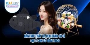 Nằm Mơ Thấy Cá Đen Đánh Số Gì – Gợi Ý Con Số Năm 2026
