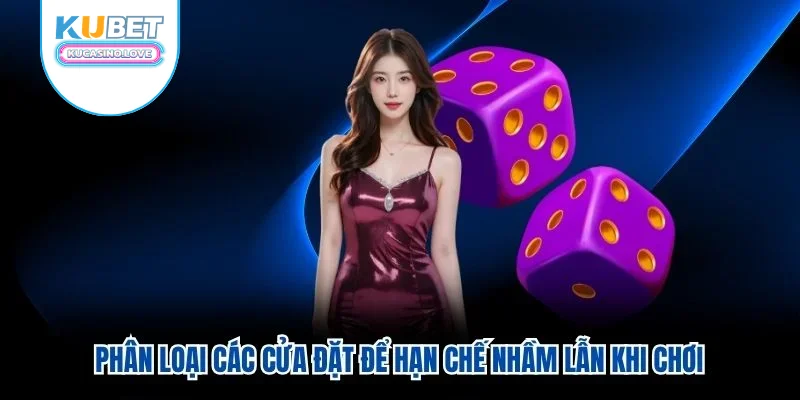 Phân loại các cửa đặt để hạn chế nhầm lẫn khi chơi