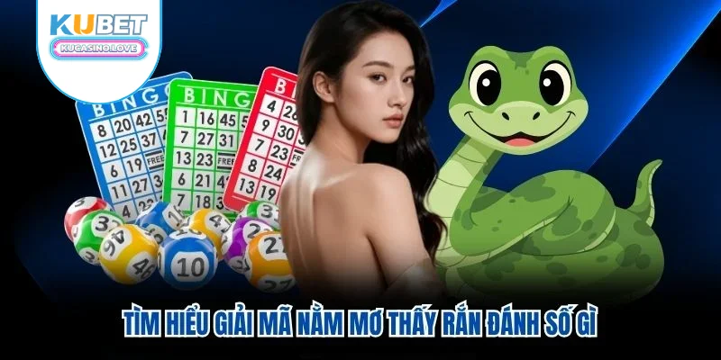 Tìm hiểu giải mã nằm mơ thấy rắn đánh số gì